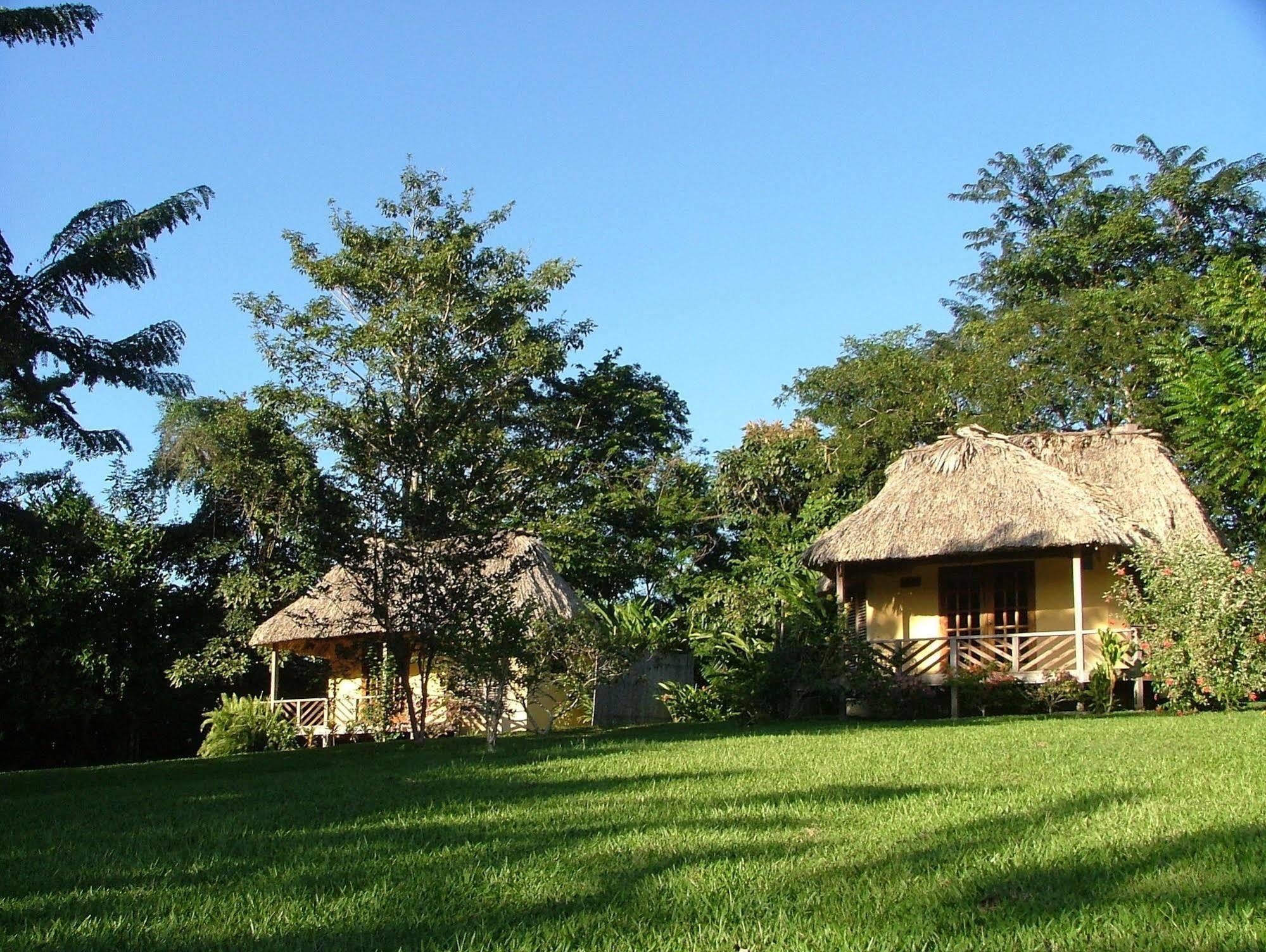 Tanager Rainforest Lodge Big Falls Exterior foto