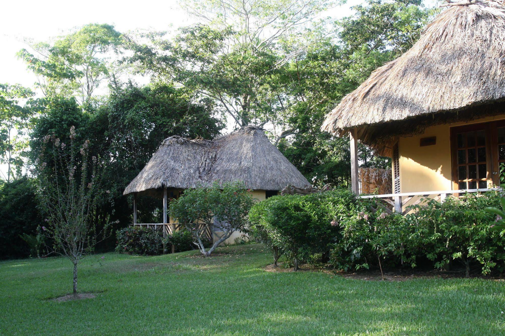 Tanager Rainforest Lodge Big Falls Exterior foto